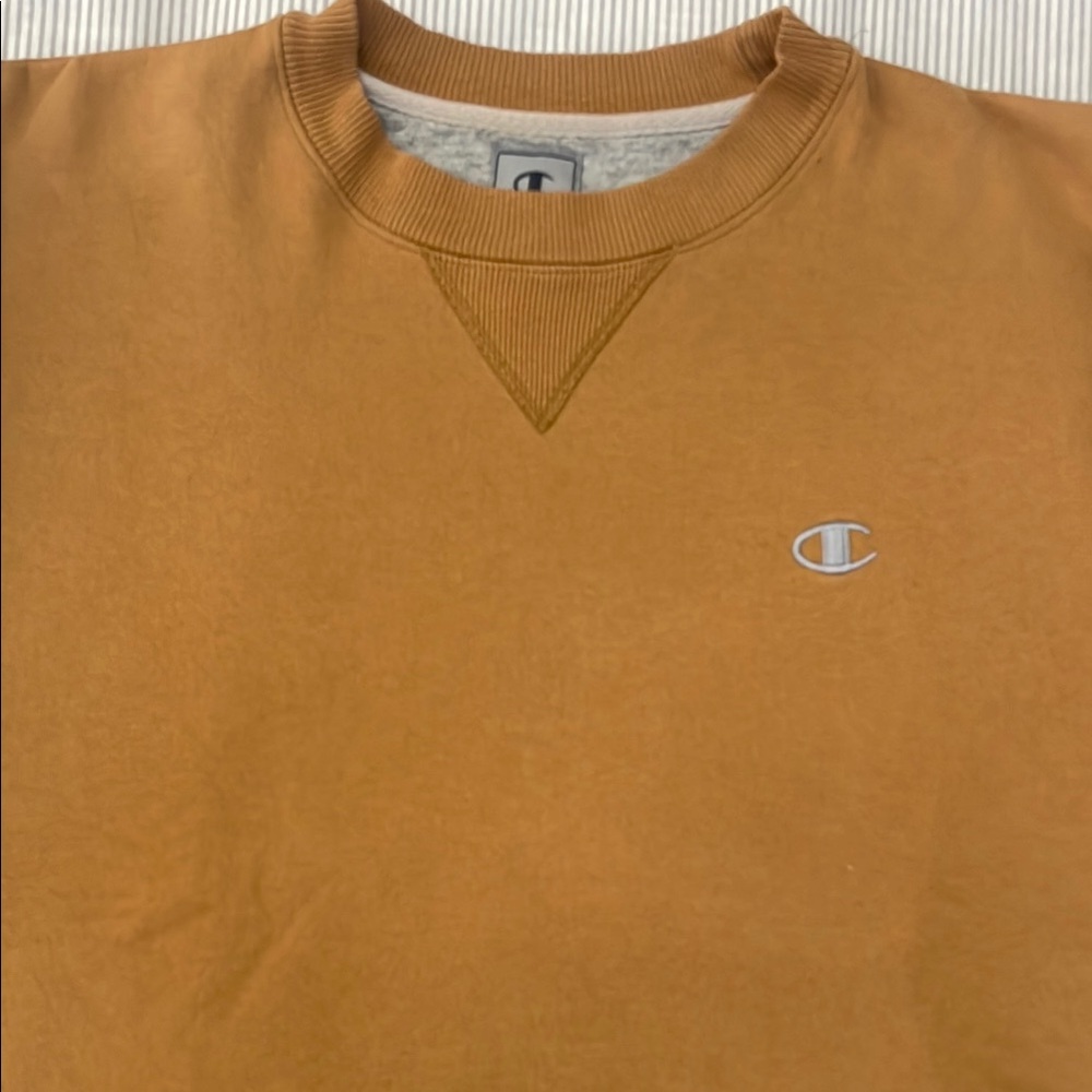 Champion Crewneck Sweater